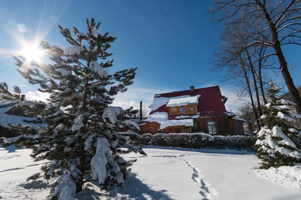 Apartament Parzenica Zakopane Esterno foto